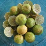 Citrus aurantifolia / Lime / Citron Galet - lot de 10 graines